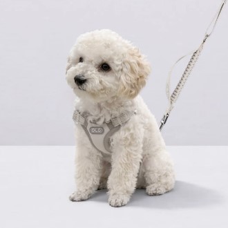 ���� ������ �ϳ׽� �ʼ��� ������ ��Ʈ ������� ������ ������ȣ ������ ������ ������ �ְ� �ݷ��� ��