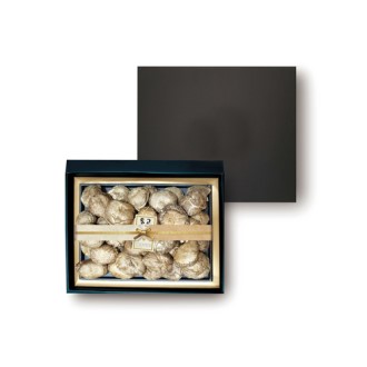 �������� ǰ�� ������Ʈ (���� + ��������) 