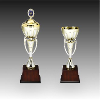 ��� ��ȸ �û� Ʈ���� ���� D �ֹ� ����