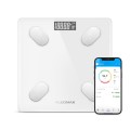 �÷����ƽ� PM-Scales01 �������� ����Ʈ �ιٵ� ü�߰�
