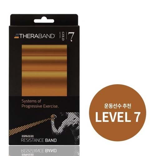 ������ LEVEL 7 (���) �ٷ¿